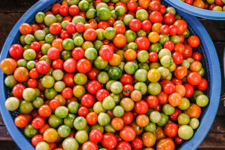 Group of wild tomato or love apple display in basket for sell at local marketの写真素材