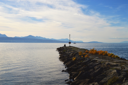 A man ponders on the pierの写真素材