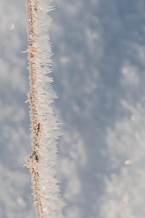 Fluffy freshly fallen snow sparkles in the sun
