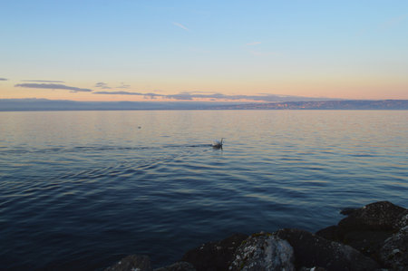 Sunset on the lake, calm water surface. Lake Geneva at sunset, Evian, France