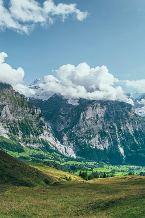 Summer mountain landscape with green grass and mountain peaks.の写真素材