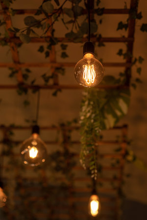 A modern lamp made of a wooden lattice, decorated with plants. Modern design of indoor lighting