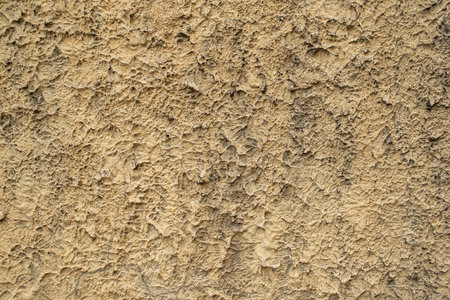 The grunge texture of the plaster. Rough wall treatment, old wall. Textured backgroundの写真素材