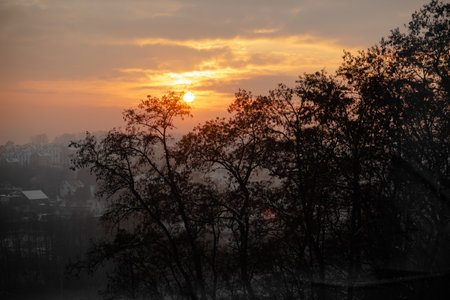 View of the city, the silhouette of trees at sunset. Winter sunset and haze over the city.の写真素材