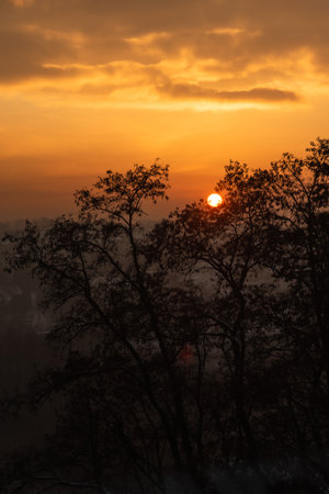 View of the city, the silhouette of trees at sunset. Winter sunset and haze over the city.の写真素材