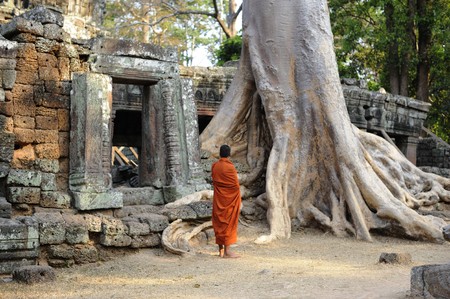 Cambodia Angkor Ta Phrom templeの写真素材
