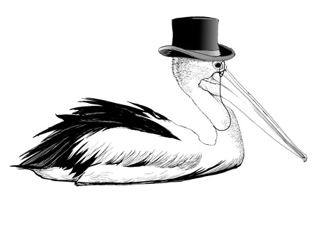 Pelican with top hat and monocle - vector illustrationのイラスト素材