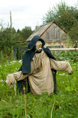 Garden scarecrow for scaring away of birdsの写真素材