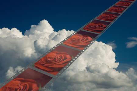 Film with roses on a background of the cloudy skyの写真素材