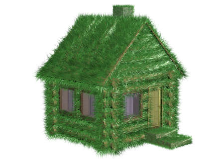 Small green house covered with a grass. 3D image.の写真素材
