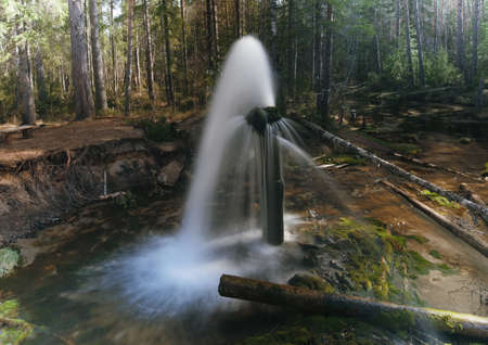 fountain in wood. beautiful landscapeの写真素材
