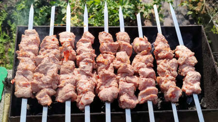 Preparation of shish kebab on brazierの写真素材