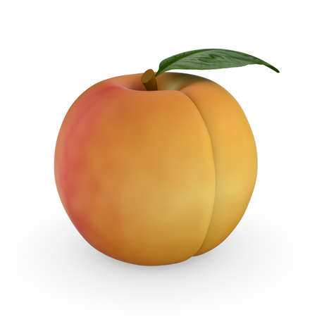 peach on white background. Isolated 3D illustrationの写真素材
