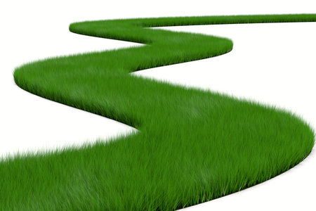 Grass path on white background. Isolated 3D illustrationの写真素材