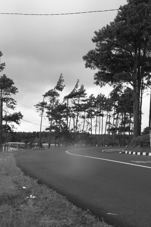 lonely travel in windy dayの写真素材