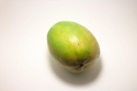 Mango  Mangifera indicaの写真素材