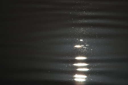 The reflection of morning sunshine and wave of the surface of the pond.