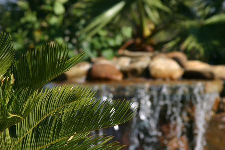 Tropical scene with waterfall in backgroundの写真素材