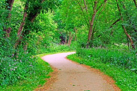 S-curve path in a park