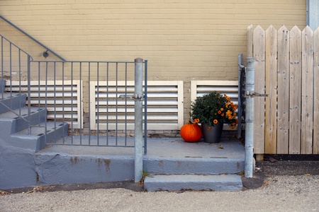 The view of a pumpkin and flowers on the stairs