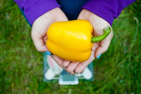 Fat woman wants to lose weight diet top view in blue suit stands on transparent glass scales in pink sneakers on green grass holds a large yellow sweet pepper with short blue nails on a blused backgroundの写真素材
