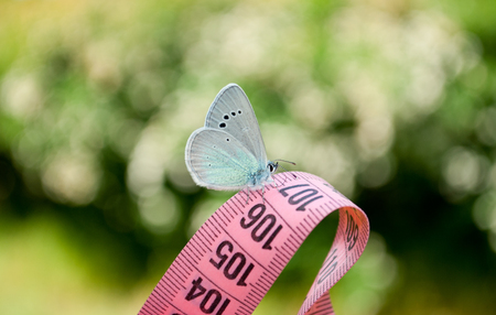 Lose weight diet side view green grass measuring tape pink color figures on it sits blue butterfly...
