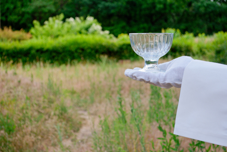 A waiter's hand in a white glove and a white napkin holding an empty glass vase on a blurred background of nature green bushes and treesの写真素材