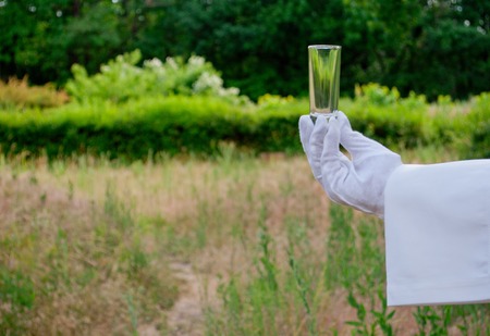 A waiter's hand in a white glove and with a white napkin holding an empty glass glass for a tequila long shot on a blurred background of nature green bushes and treesの写真素材