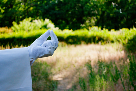 The waiter's hand in a white glove and with a white napkin shows with the fingers a pinch pinch three fingers on the left on a green background of trees and bushes on a blused backgroundの写真素材