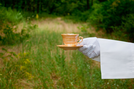 The waiter's hand in a white glove and with a white napkin holds an empty pink beige small coffee cup and saucer on a blurred background of nature green bushes and treesの写真素材