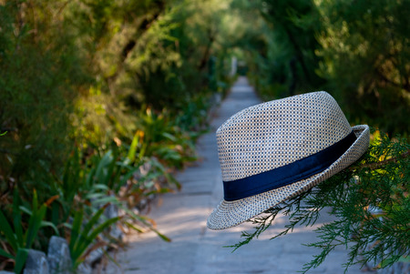 A brown straw hat hanging on a branch of a bush tree, on the background of a stone gray path goes into the distance between trees, a shadow, a summer sunny dayの写真素材