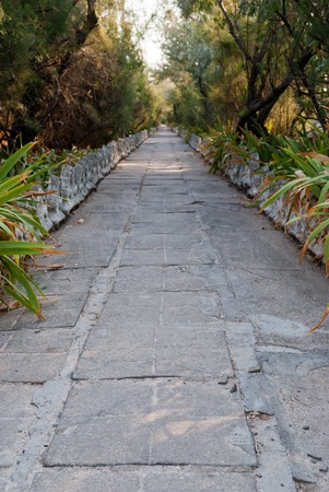 The long path is a path made of stone large tiles, among the greenery of bushes and trees,の写真素材