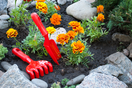 Red plastic rakes and shovelsの写真素材