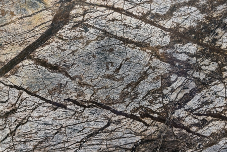 Marble.の写真素材