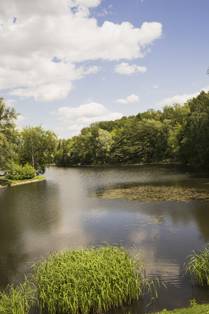 The lake in the Park in the summer.の写真素材