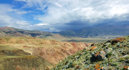 The Summer in The Altai Mountains.