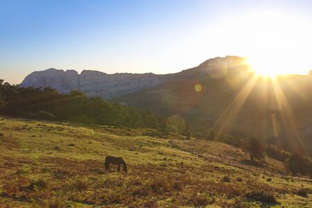 AbadiÃ±o, Bizkaia/Basque Country; Oct. 09, 2015. A horse grazes at sunrise on mount Saibi with the...