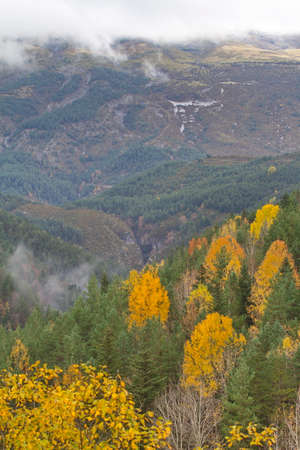 Fanlo, Huesca/Spain; Nov. 03, 2015. Autumnal colors in the pyrenees.のeditorial素材