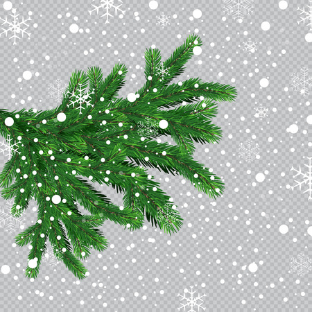 Christmas tree with beautiful lights. Branch isolated. Vector illustration on beautiful background.のイラスト素材