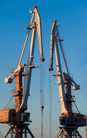 Building cranes, stand nearby against the blue sky.