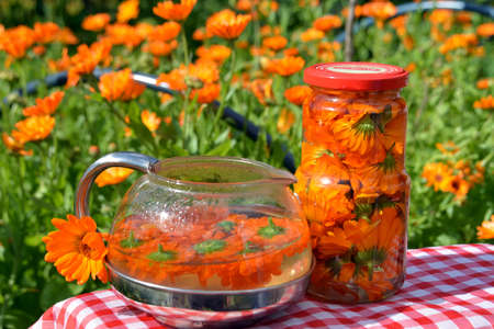 Drink female health - beneficial infusion, decoction and herbal tea from the flowers of calendulaの写真素材