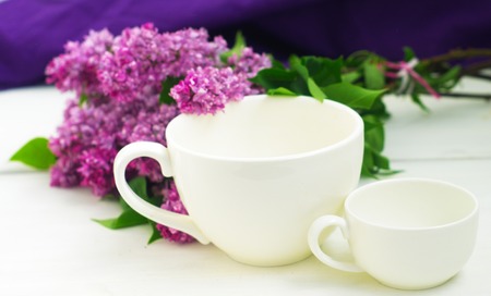        Lilac with  big and small white cups                        の写真素材