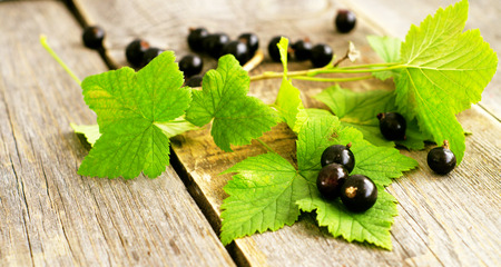                Berries of blackcurrant  with leaves on the wooden background                       の写真素材