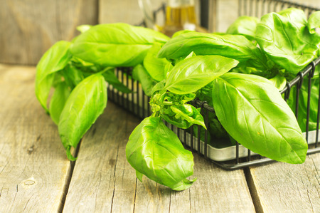     fresh basil in the wire bascket on the wooden background                          の写真素材