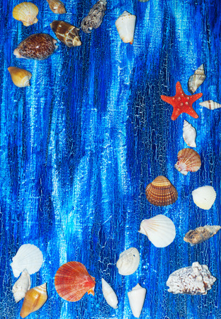 Seashells on the wooden blue surfaceの写真素材