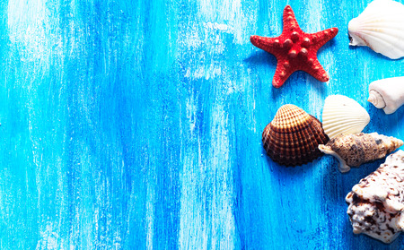 Seashells on the wooden blue surfaceの写真素材