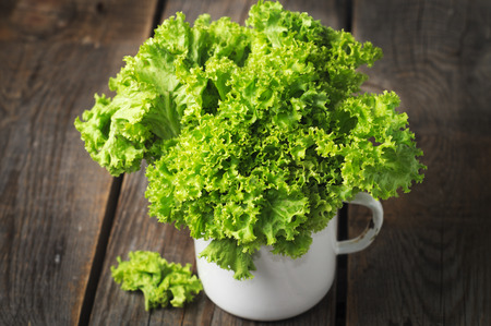 Fresh green kale in the white cup. Selective focusの写真素材