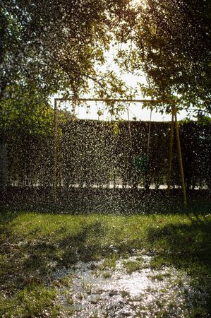 Morning rain in the garden.の写真素材