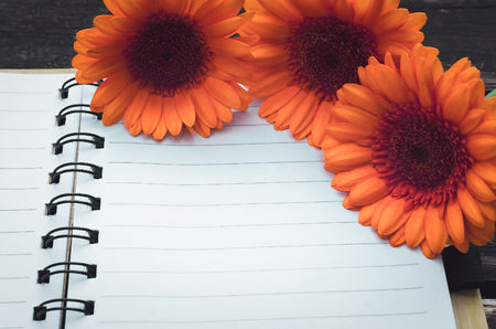Blank page notepad and orange gerbera flowers on wooden background.の写真素材