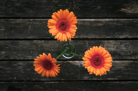 Bouquet of orange gerbera flowers on wooden background.の写真素材